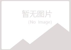 鸡西麻山怜寒会计有限公司